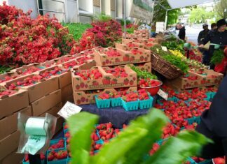 Organic Food Vs. Non-organic Food A New Age Argument Organic Food Vs. Non-organic Food A New Age Argument
