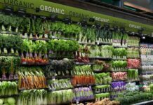 Organic Meats From Online Organic Food Stores And Suppliers Organic Meats From Online Organic Food Stores And Suppliers