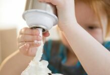 Best Utilities for Whipped Cream Nitrus Oxide Whipped Cream Nitrus Oxide
