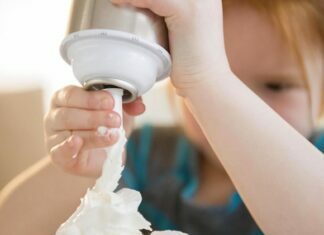 Best Utilities for Whipped Cream Nitrus Oxide Whipped Cream Nitrus Oxide
